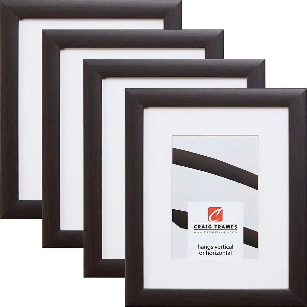 Craig Frames Contemporary, 20 x 30 Inch Brazilian Walnut Brown Picture Frame Matted to Display a 16 x 24 Inch Photo, Set of 4