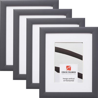 Craig Frames Contemporary, 22 x 28 Inch Grey Picture Frame Matted to Display an 18 x 24 Inch Photo, Set of 4