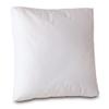 13x13x2 Hypoallergenic Luxury 100% Small Feather Boxed Square Pillow Insert, 100% Cambric Cotton Shell, Never Vacuum-Packed, Odorless, Made in USA view 1