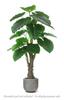 AMERIQUE Gorgeous & Unique 6 Feet Royal Hawaiian Elephant Ear Artificial Plant with Giant Leaves, UV Protection, Feel Real Tech., Standable view 4