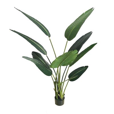 AMERIQUE Gorgeous 5 Feet Traveller Palm Artificial Tree with Giant Leaves, UV Protection, Feel Real Tech, with Plastic Nursery Pot, Green