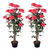 AMERIQUE Pair Gorgeous & Unique 4 Feet Red Roses with Leaves Artificial Tree Silk Plant, Pre-Potted with Nursery Pot, Feel Real Tech. view 1