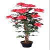 AMERIQUE Pair Gorgeous & Unique 4 Feet Red Roses with Leaves Artificial Tree Silk Plant, Pre-Potted with Nursery Pot, Feel Real Tech. view 2