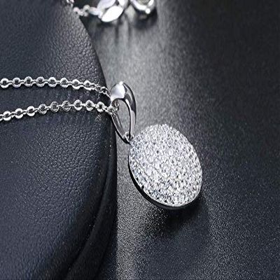 Bansriracha Trendy Round 925 Sterling Silver Jewelry Pendant AAA CZ Necklace with 45CM Chain SN60