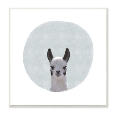 Baby Llama Animal Kids Painting