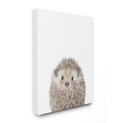 Baby Hedgehog Animal Kids Painting