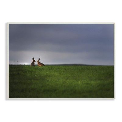 The Kids Room by Stupell Bunny Couple Family Animal Landscape Photo Signs and Plaques, 10 x 15, Multi-Color