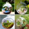 KNIKGLASS Hanging Glass Planter Round Air Plant Terrarium Hanging,Decorations for Succulent Plant Candle Holder, Wedding Decorations and Display (18, Without Side Holes) view 3