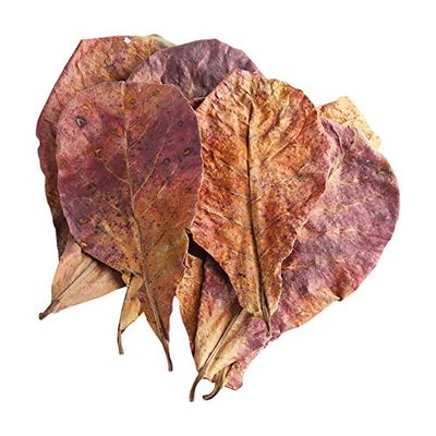 Pukido 50g/Pack New Effective Natural Terminalia Catappa Foetida Leaves Island Almond Leaf for Fish Cleaning/Treatment Aquarium Tank - (Color: as Show, Size: M)