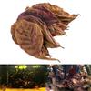 Pukido 50g/Pack New Effective Natural Terminalia Catappa Foetida Leaves Island Almond Leaf for Fish Cleaning/Treatment Aquarium Tank - (Color: as Show, Size: M) view 2