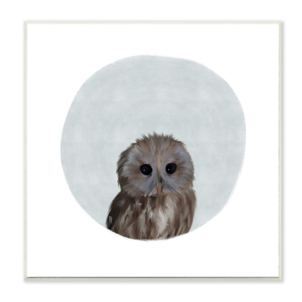 Baby Owl Animal Kids Painting