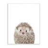 Baby Hedgehog Animal Kids Painting view 1
