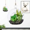 KNIKGLASS Hanging Glass Planter Round Air Plant Terrarium Hanging,Decorations for Succulent Tillandsia, Candle Holder, Wedding Decorations and Display 18 Packs view 4