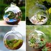 3" Hanging Glass Planter Tea Light Candle Holders Succulents Moss Miniature Garden Planters Home Decor Indoor Garden DIY 100 Pack Gifts Without Side Holes view 4