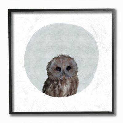 Baby Owl Animal Kids Painting