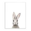 Baby Bunny Animal Kids Painting view 1