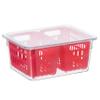 Oggi Berry Container for Fridge - Double Colander Basket - Ideal Berry Containers for Fridge, Includes Berry Colander Insert (8.75" x 6.75" x 3.75"), Red view 1
