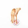 Bethlehem Handicrafts Wooden Camel view 4