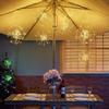 Dreamworth 10 Pcs Total 600 LED Firework Copper Wire Lights, Fairy Twinkle Lights Plug in String Lights 8 Modes Waterproof Starburst Lights for Christmas, Birthday, Bedroom, Corridor Patio, Wedding view 4
