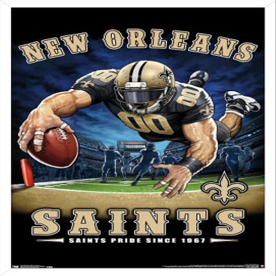 Trends International NFL New Orleans Saints - End Zone 17 Wall Poster, 22.375" x 34", White Framed Version