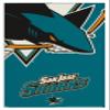 Trends International NHL San Jose Sharks - Logo 14 Wall Poster, 22.375" x 34", White Framed Version view 1