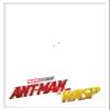 Trends International Marvel Cinematic Universe - Ant-Man and the Wasp - One Sheet Wall Poster, 22.375" x 34", White Framed Version view 1