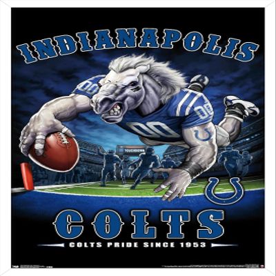 Trends International NFL Indianapolis Colts - End Zone 17 Wall Poster, 22.375" x 34", White Framed Version