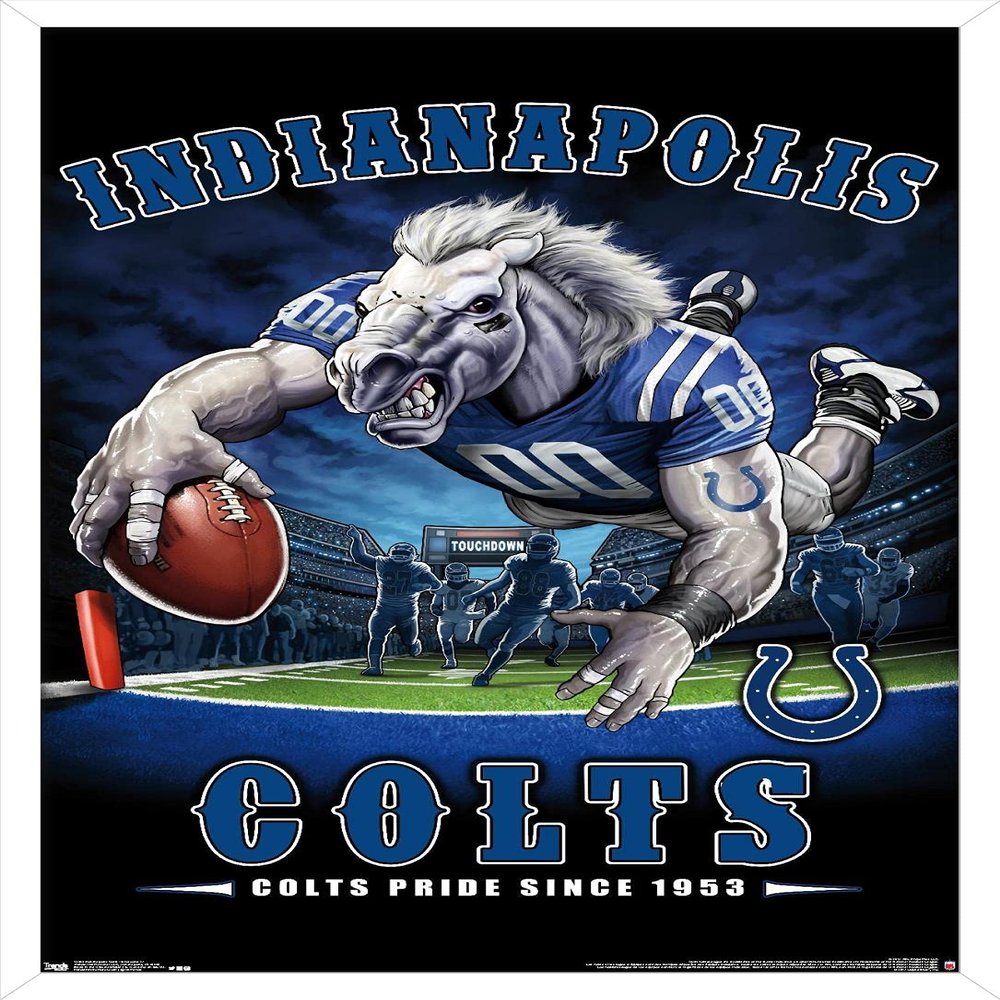 Trends International NFL Indianapolis Colts - End Zone 17 Wall Poster, 22.375" x 34", White Framed Version
