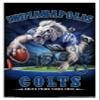 Trends International NFL Indianapolis Colts - End Zone 17 Wall Poster, 22.375" x 34", White Framed Version view 1