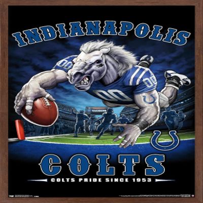 Trends International NFL Indianapolis Colts - End Zone 17 Wall Poster, 22.375" x 34", Mahogany Framed Version