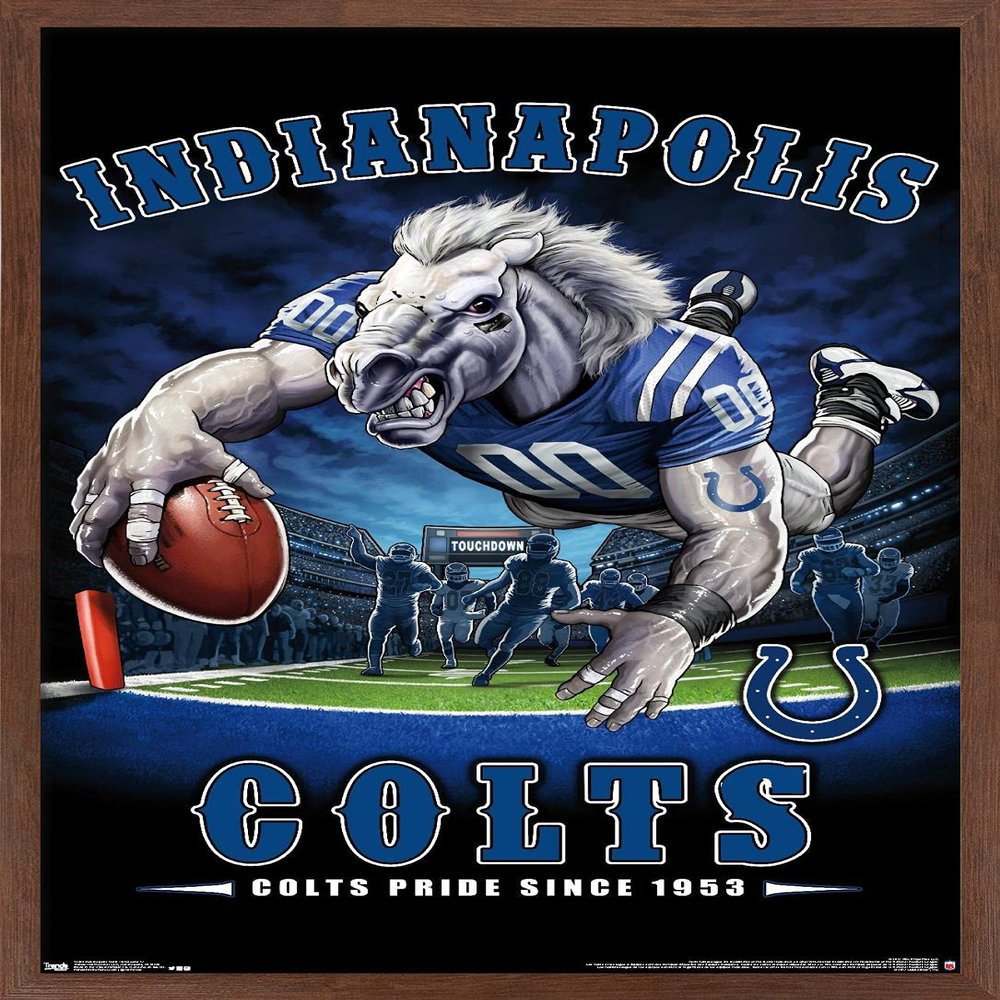 Trends International NFL Indianapolis Colts - End Zone 17 Wall Poster, 22.375" x 34", Mahogany Framed Version