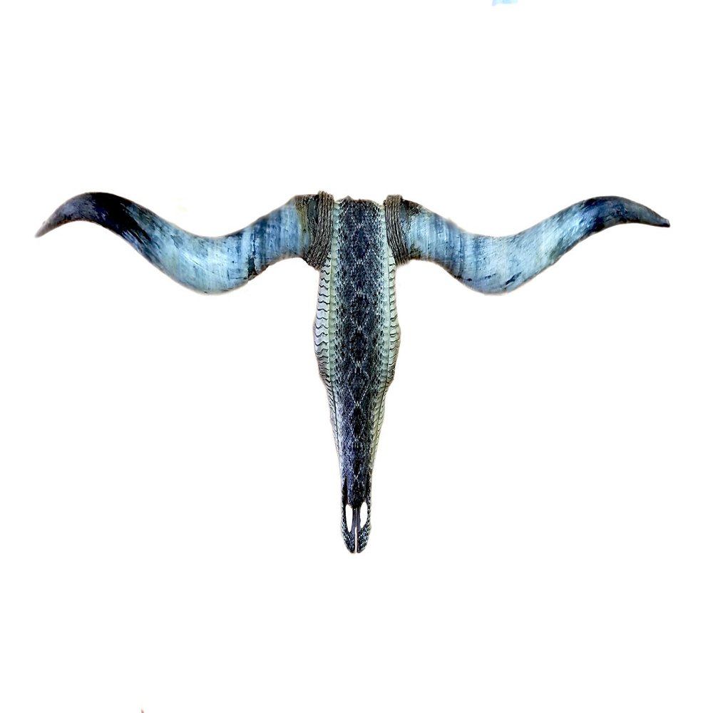Calaveras by Linda Torres Texas Longhorn Taxidermy Genuine Diamondback Skull