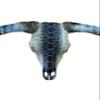 Calaveras by Linda Torres Texas Longhorn Taxidermy Genuine Diamondback Skull view 2