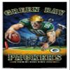Trends International NFL Green Bay Packers - End Zone 17 Wall Poster, 22.375" x 34", White Framed Version view 1
