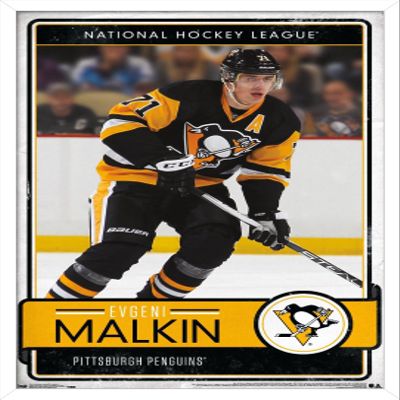 Trends International NHL Pittsburgh Penguins - Evgeni Malkin 16 Wall Poster, 22.375" x 34", White Framed Version