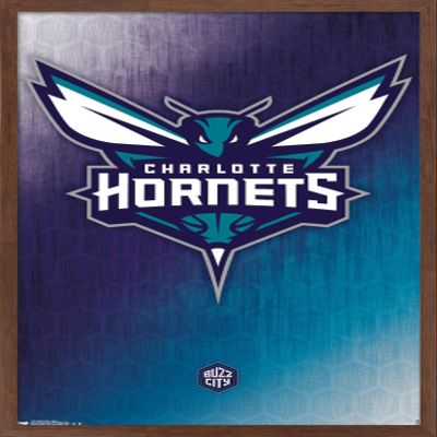 Trends International NBA Charlotte Hornets - Logo 14 Wall Poster, 22.375" x 34", Mahogany Framed Version