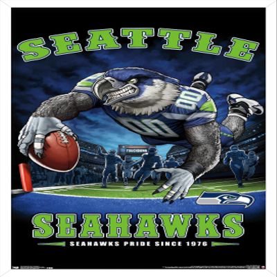 Trends International NFL Seattle Seahawks - End Zone 17 Wall Poster, 22.375" x 34", White Framed Version