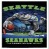 Trends International NFL Seattle Seahawks - End Zone 17 Wall Poster, 22.375" x 34", White Framed Version view 1