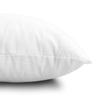 EDOW Throw Pillow Inserts, Set of 2 Lightweight Down Alternative Polyester Pillow, Couch Cushion, Sham Stuffer, Machine Washable. (White, 18x18) view 3