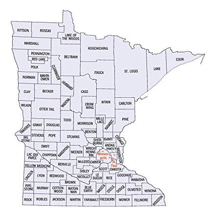 County Outline Map of Minnesota-12 Inch by 18 Inch Laminated Poster-posters With Bright Colors And Vivid Imagery-convenient 12 Inch by 18 Inch Size Fits Perfectly In Many Attractive Frames