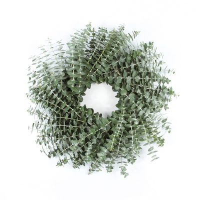 Living Baby Blue Eucalyptus Wreath 16 inch Handcrafted Fresh Cut Greenery Wreath for Front Door Church Door Decor Wedding House Warming Holiday Gift | Yoga Lovers | Self-Care