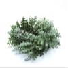 Living Baby Blue Eucalyptus Wreath 16 inch Handcrafted Fresh Cut Greenery Wreath for Front Door Church Door Decor Wedding House Warming Holiday Gift | Yoga Lovers | Self-Care view 3
