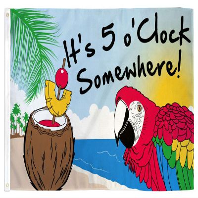 Noveltees ITS 5 O CLOCK SOMEWHERE parrot party drinking 3 X 5 FLAG