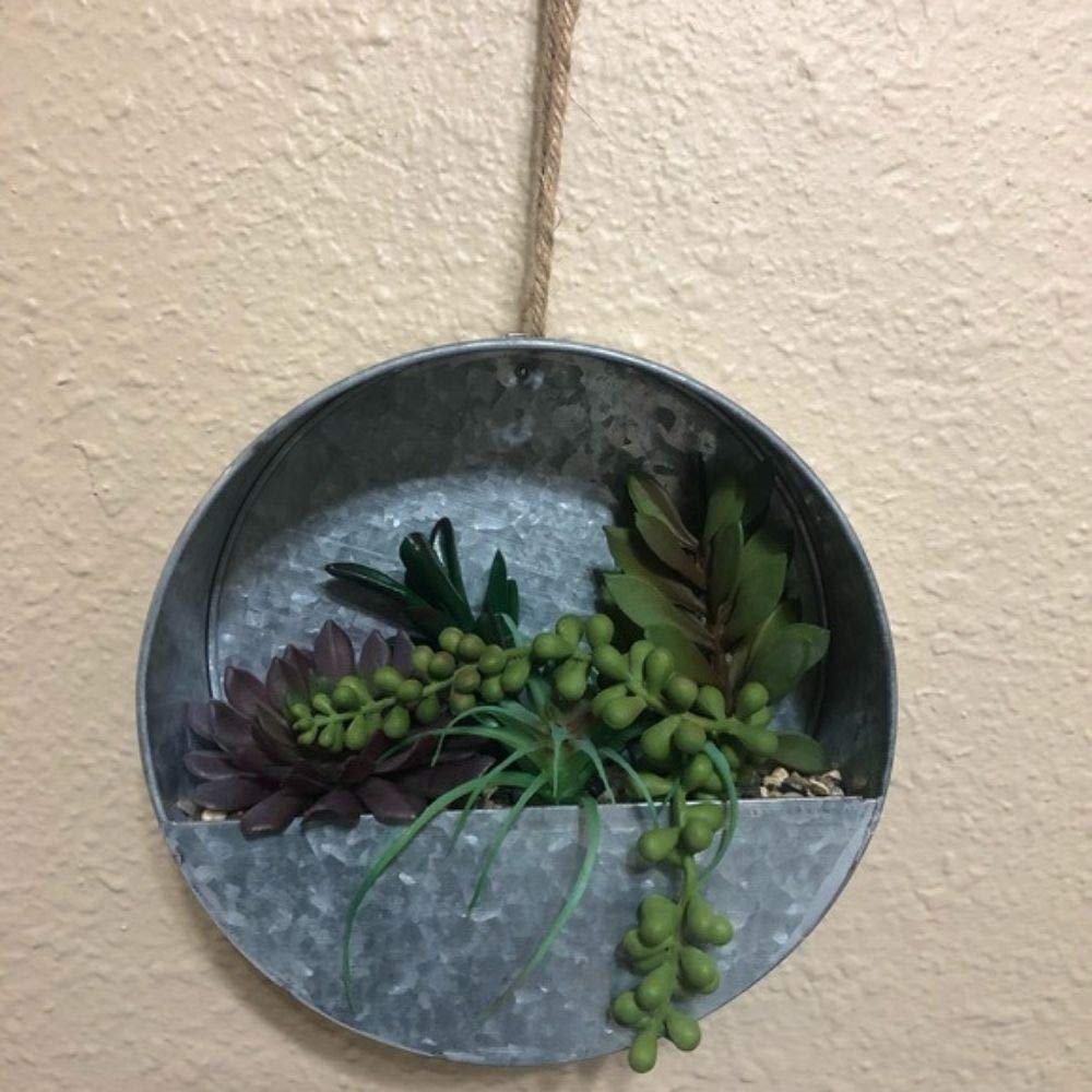 Garden Party Wall Planter with Succulents