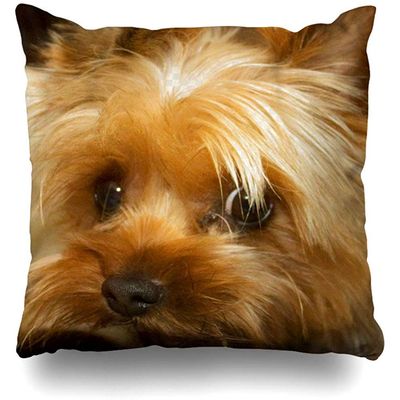 Throw Pillow Covers Popular Presents Wait for Mom Love Haley Dog Yorkie Terrier Pillowslip Square Sofa Cute 18 x 18 Inches Cushion Cases Pillowcases