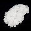 Nautical Crush Trading Bulk Sea Glass  55oz Tumbled Sea Glass in White  Seaglass for Crafts, Decor & Jewelry  Real Seaglass Pieces for DIY & Art Projects view 2