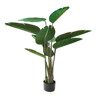AMERIQUE 5 Feet Gorgeous Tropical Traveller Palm Artificial Tree Plant with 10 Giant Leaves, in Nursery Pot, Real Touch Tech, Green
