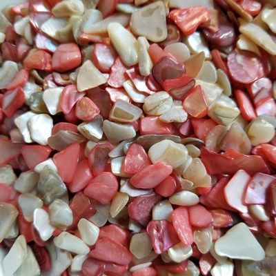BeachWalk Small Natural Crushed Shells - for Weddings, Vase Filler, Home Dcor, and Crafts (48 oz (3 lb), Sedona Pearl)