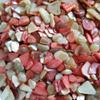 BeachWalk Small Natural Crushed Shells - for Weddings, Vase Filler, Home Dcor, and Crafts (48 oz (3 lb), Sedona Pearl) view 1
