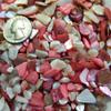 BeachWalk Small Natural Crushed Shells - for Weddings, Vase Filler, Home Dcor, and Crafts (48 oz (3 lb), Sedona Pearl) view 2